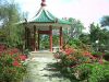 chunghuagarden1.JPG